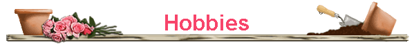 Hobbies